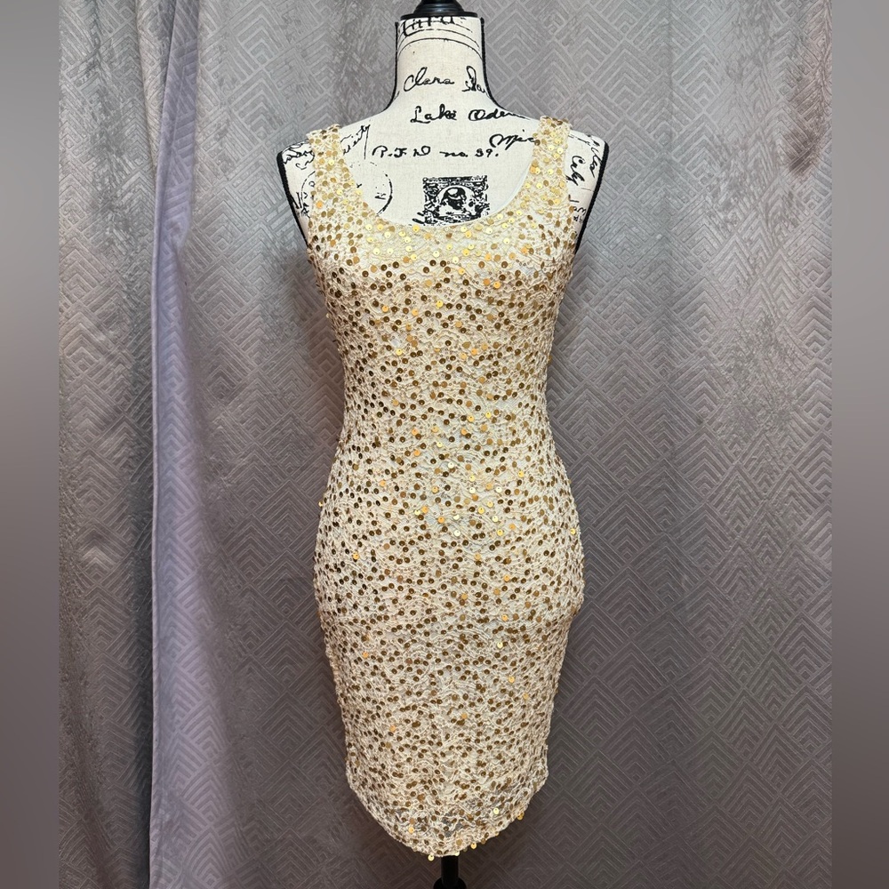 Forever 21 Lace Sparkly Dress